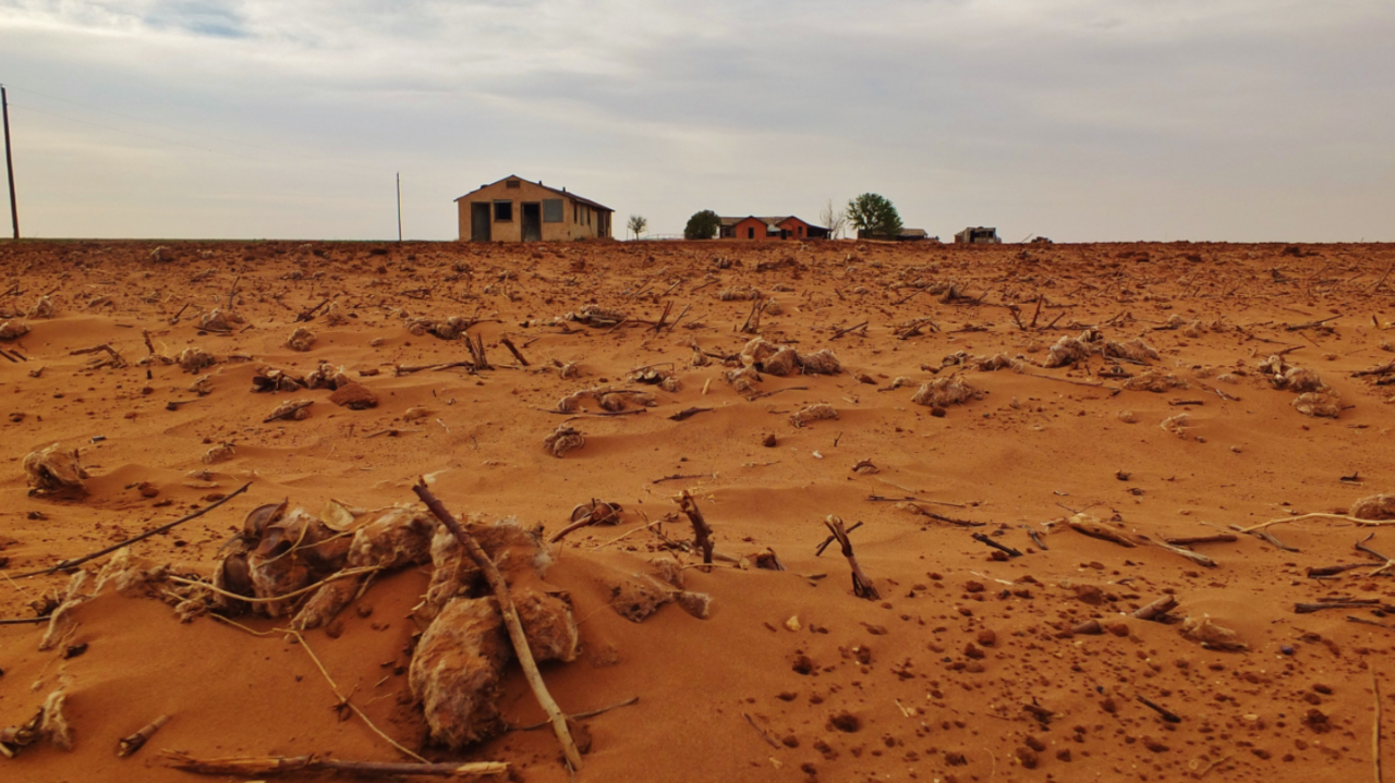 Drought