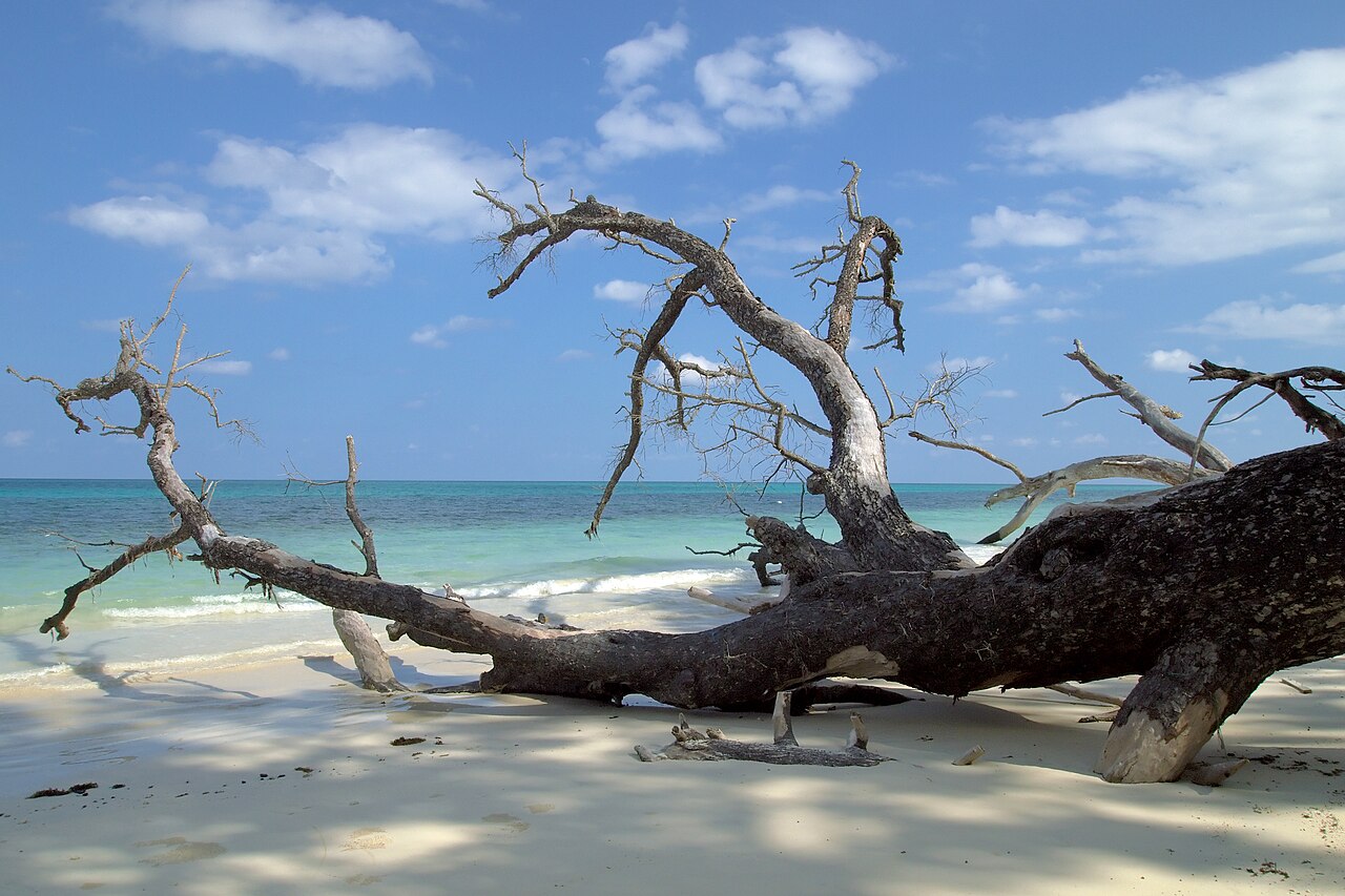 Tropical climate